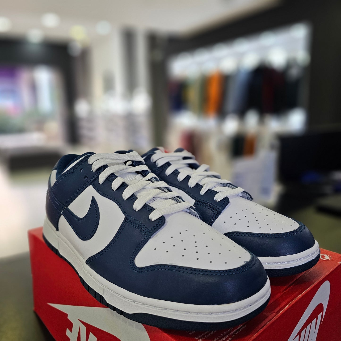 Dunk Low Valerian Blue