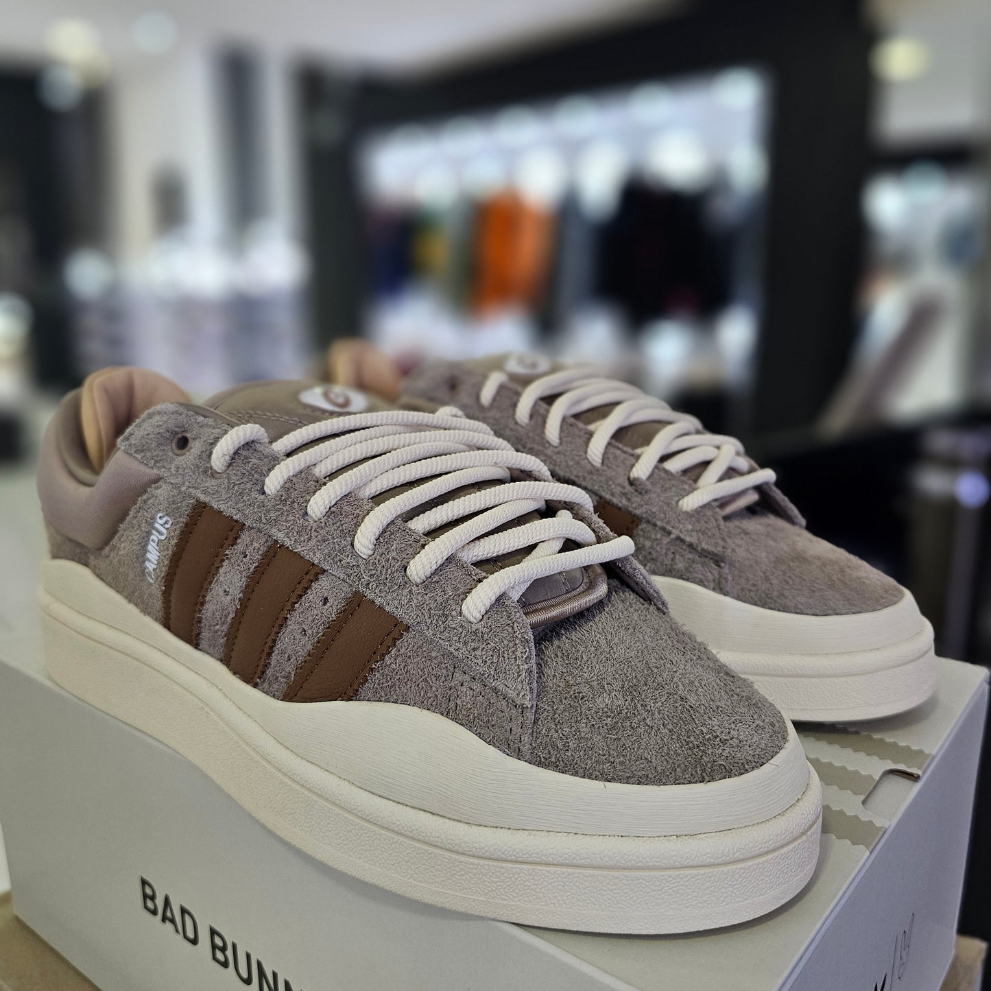 adidas Campus Bad Bunny The Last Campus