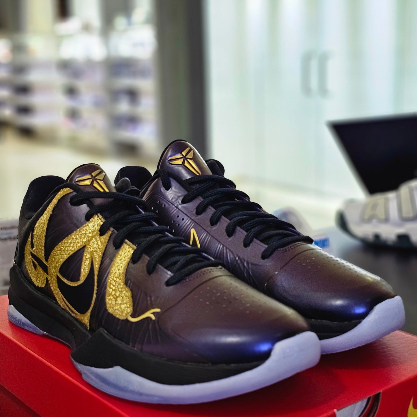 Kobe 5 Protro Year of the Mamba Eggplant