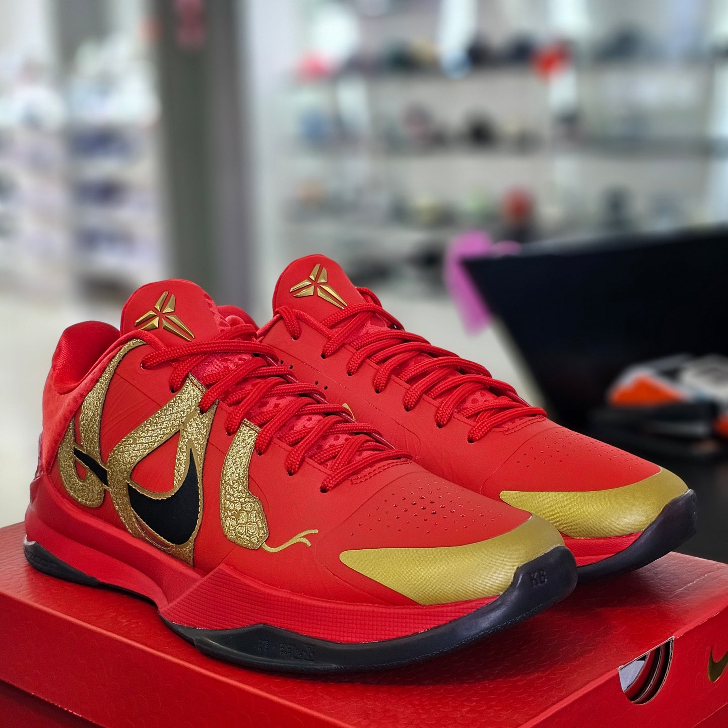 Kobe 5 Protro Year of the Mamba University Red