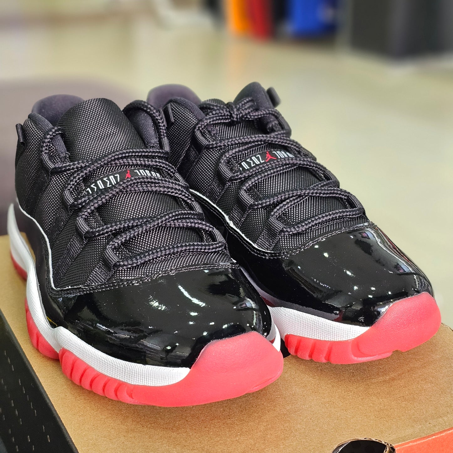 Jordan 11 Low Bred
