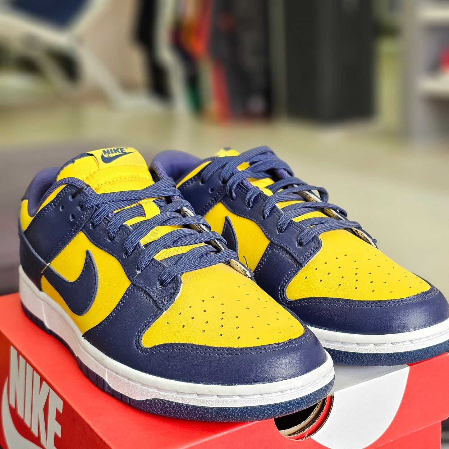 Dunk Low Michigan