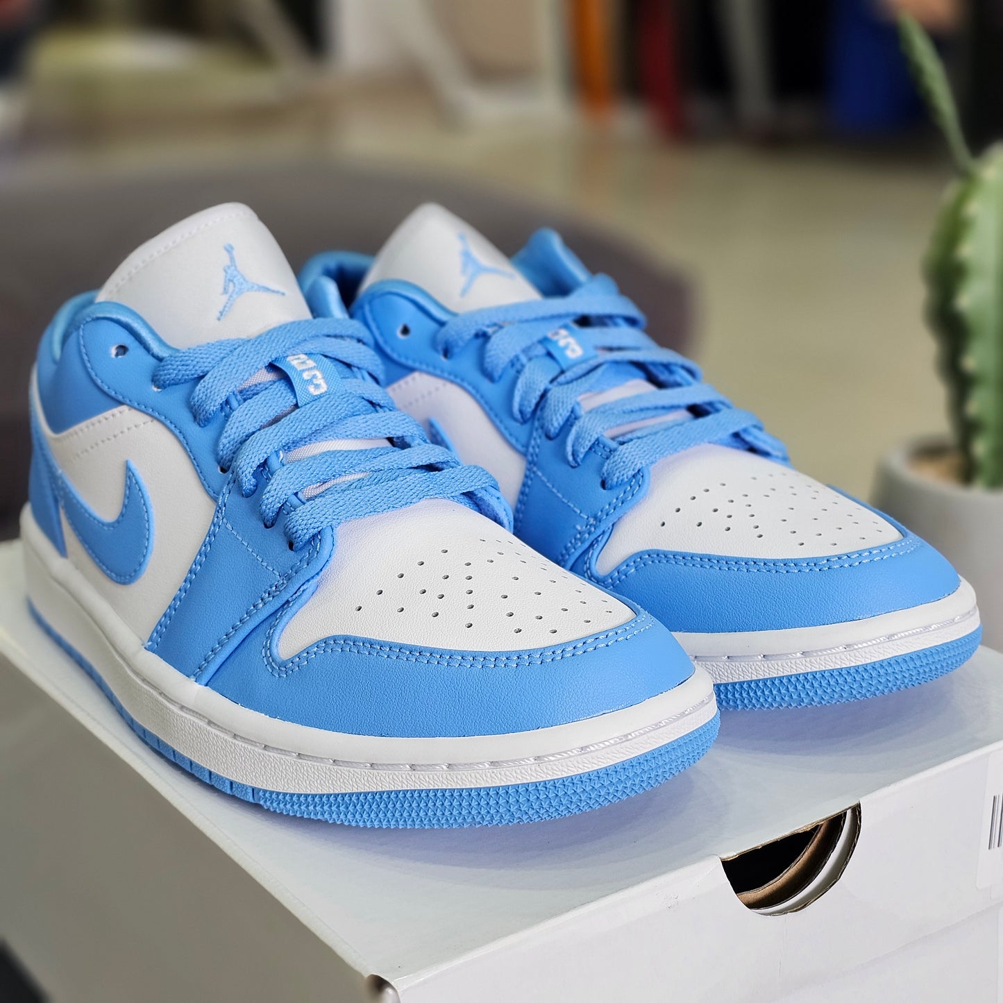 Jordan 1 Low UNC