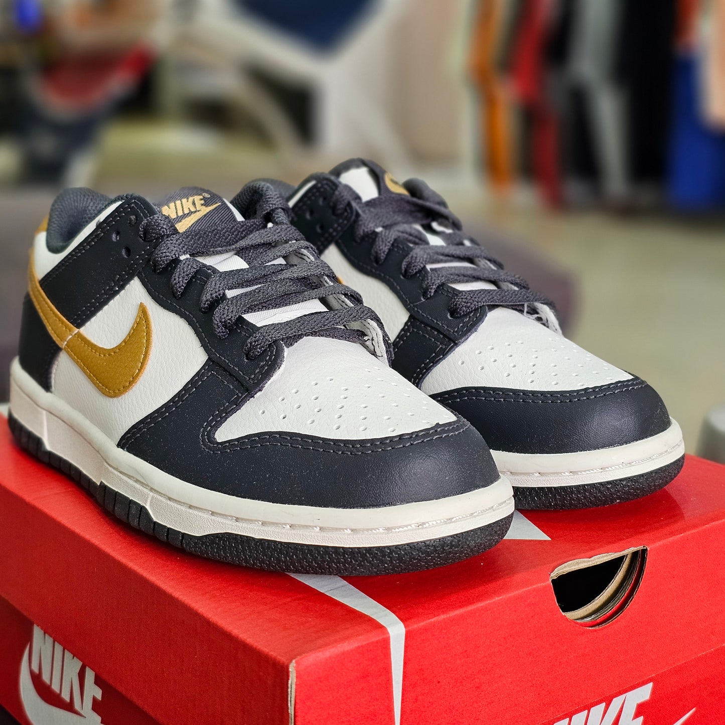 Dunk Low Anthracite Metallic Gold