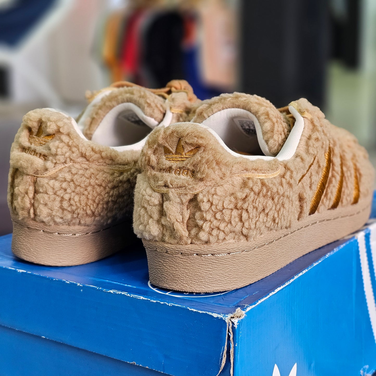 adidas Superstar Conchas