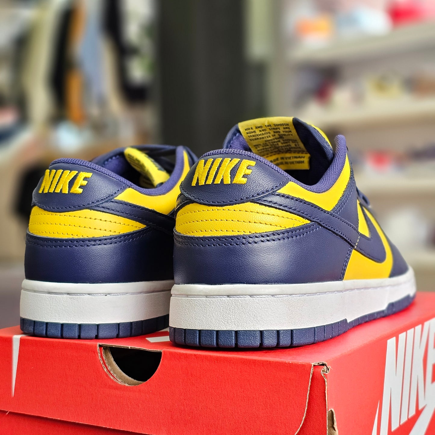Dunk Low Michigan