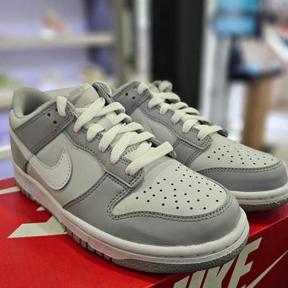 Dunk Low Two-Toned Grey