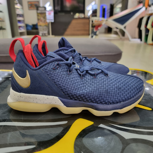 Nike Lebron 14 Low USA