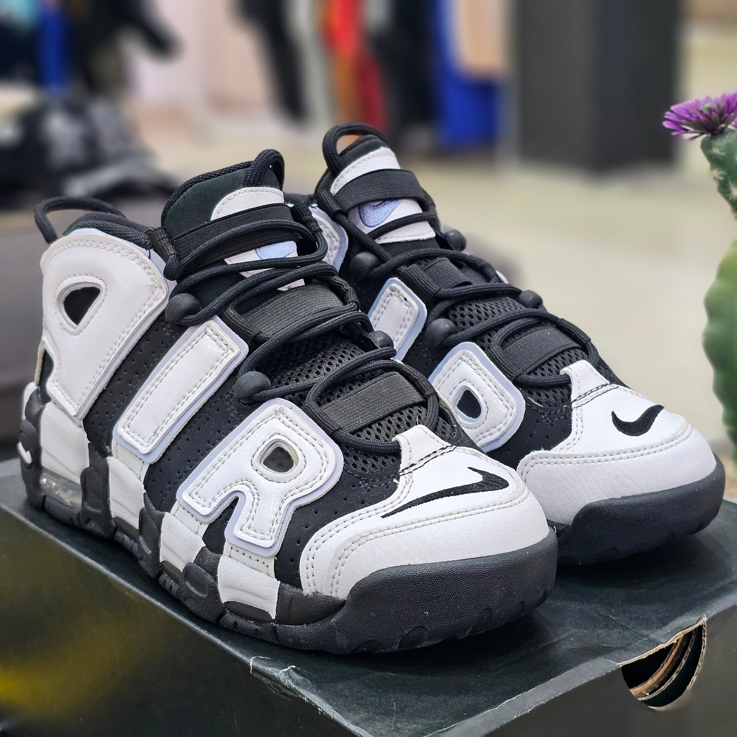 Uptempo Black & Cobalt Bliss