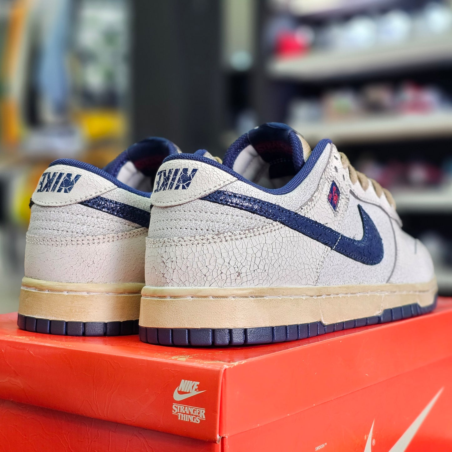 Stranger Things x Dunk Low Phantom