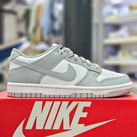 Nike Dunk Light Smoke Grey