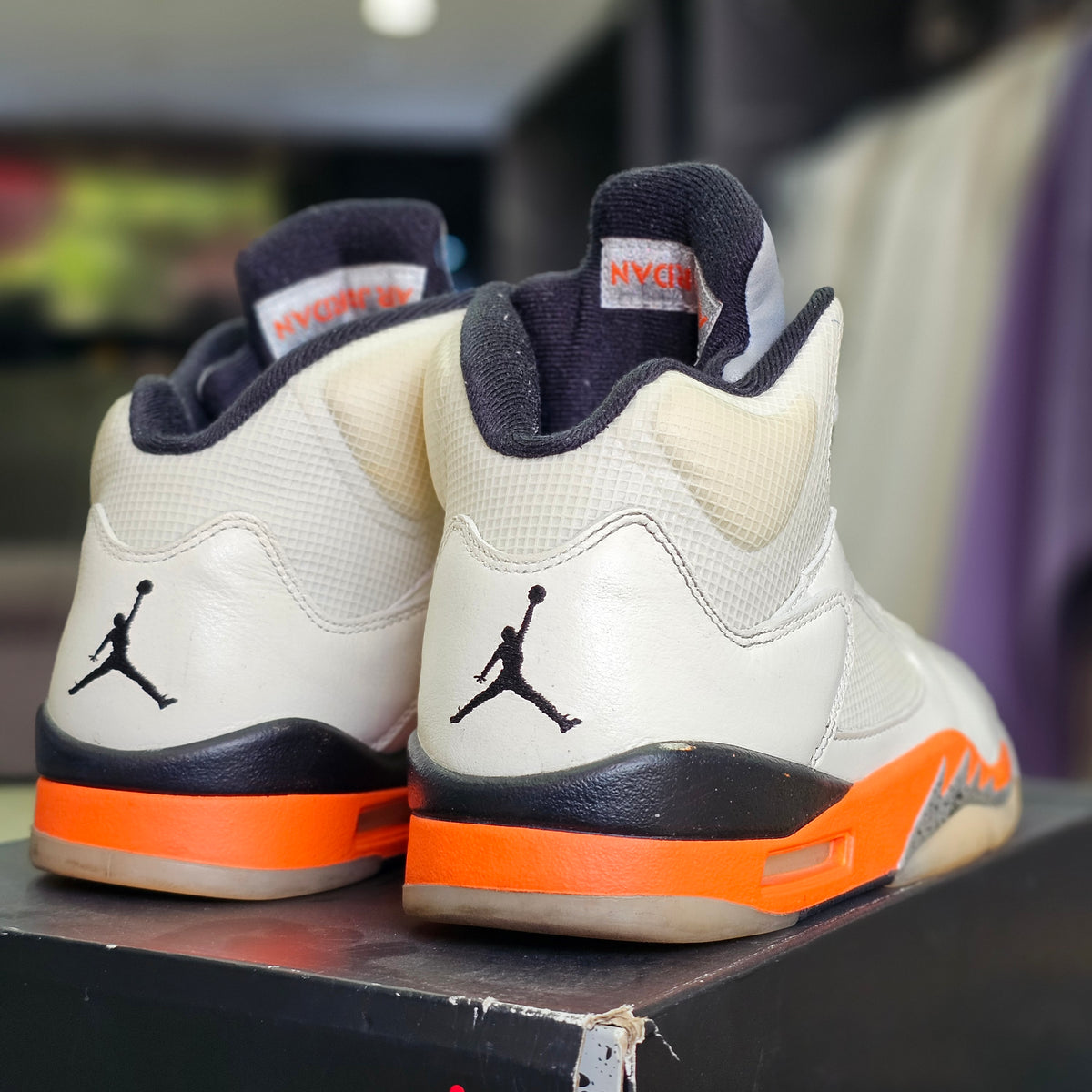 Jordan 5 Shattered Backboard (Segunda mano)